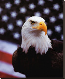 Buy Courage at AllPosters.com