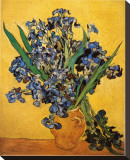 Buy Vase of Irises Against a Yellow Background, c.1890 at AllPosters.com