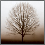 Buy Stillness at AllPosters.com