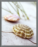 Buy Sandy Beach I at AllPosters.com