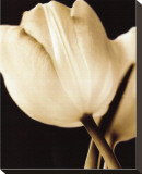 Radiance I