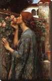 The Soul of the Rose, 1908