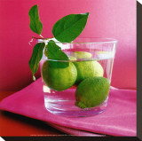 Buy Citrons Verts at AllPosters.com