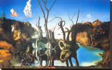 Reflections of Elephants