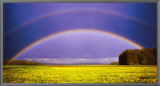 Believe Framed Canvas Print