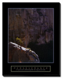 Buy Perseverance: Lone Pinyon Tree at AllPosters.com