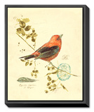 Buy Gilded Songbird III at AllPosters.com