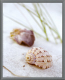 Buy Sandy Beach IV at AllPosters.com