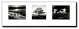 Buy Trilogy at AllPosters.com