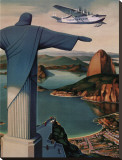 Flying Down to Rio Stretched Canvas Print