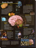 Brain Health