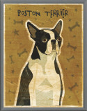 Buy Boston Terrier at AllPosters.com