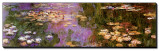 Water Lilies I