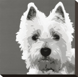 Buy West Highland Terrier at AllPosters.com