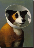 Buy Filmhound at AllPosters.com