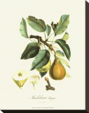 Pear