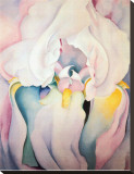 Light Iris 1924