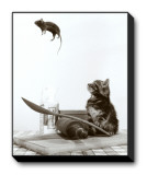 Cat and Mouse