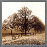 Buy Row of Trees at AllPosters.com