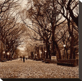 Buy Central Park at AllPosters.com