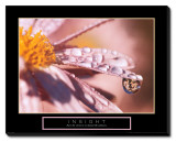 Buy Insight: Dew Drop at AllPosters.com