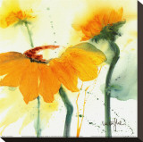 Buy Sunflower V at AllPosters.com