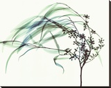 Wind