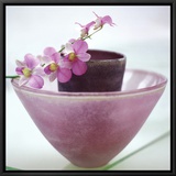 Orchids
