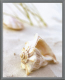 Buy Sandy Beach III at AllPosters.com