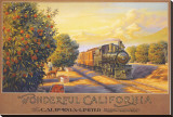 Wonderful Califonia