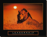 Buy Leadership: Lion at AllPosters.com