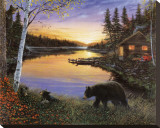 Cabin on the Pond