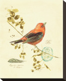 Buy Gilded Songbird III at AllPosters.com