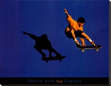 No Limits Skateboarder