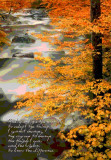 Serenity Prayer - River - 3D Poster