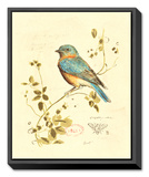 Buy Gilded Songbird IV at AllPosters.com