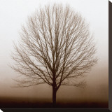 Buy Stillness at AllPosters.com