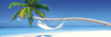 Beach - hammock morning