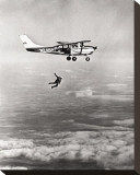 Risk Stretched Canvas Print
