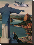 Flying Down to Rio Stretched Canvas Print