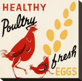 Buy Healthy Poultry-Fresh Eggs at AllPosters.com