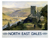 North East Dales