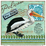 Shorebirds, Pelican