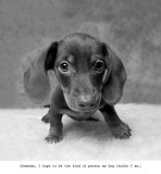 Rupert