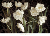 Buy Bountiful Tulips at AllPosters.com