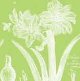 Buy Summer Bees II at AllPosters.com