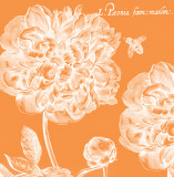 Buy Summer Bees III at AllPosters.com