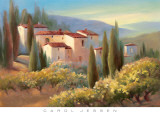 Buy Blue Shadows in Tuscany II at AllPosters.com