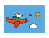 Maisy Flies a Plane