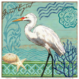 Shorebirds, Great Egret